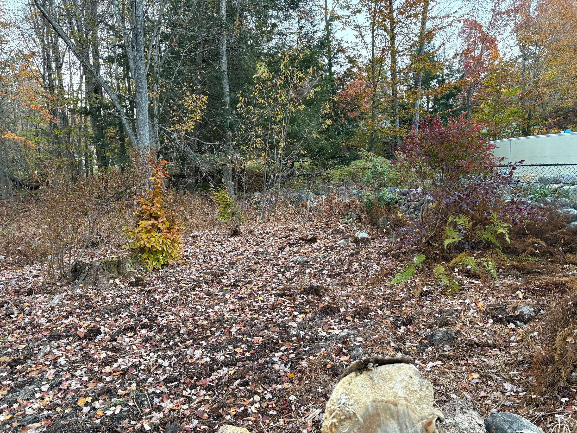 Cleared this lot about 2.5 weeks ago.